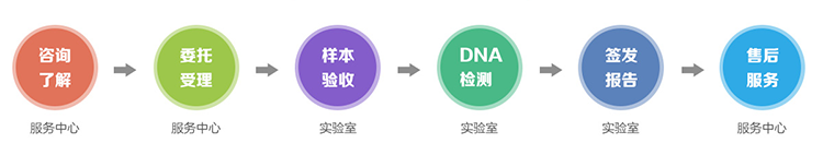 哈尔滨隐私亲子鉴定流程